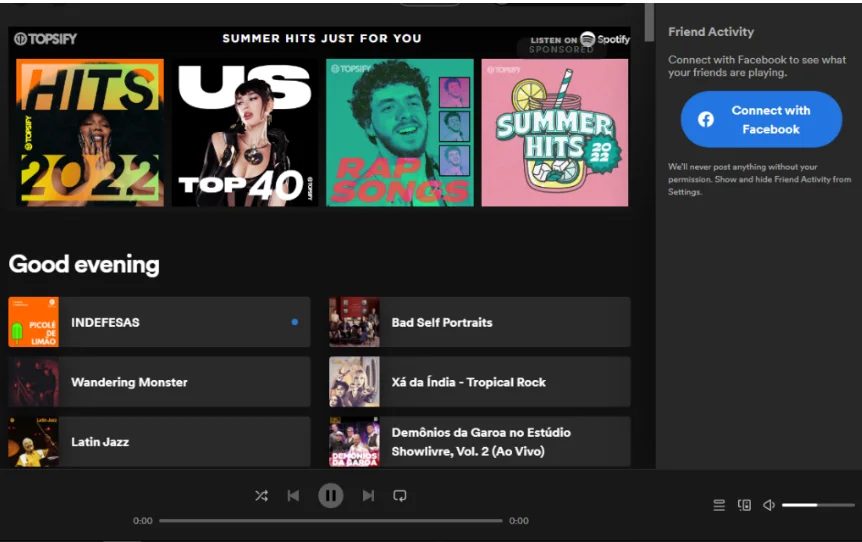 Spotify Premium APK (7)