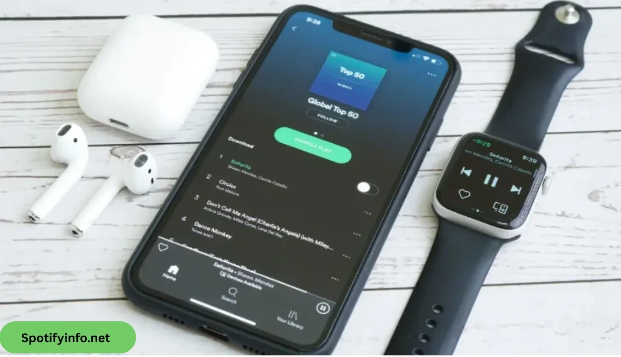 Spotify Premium APK